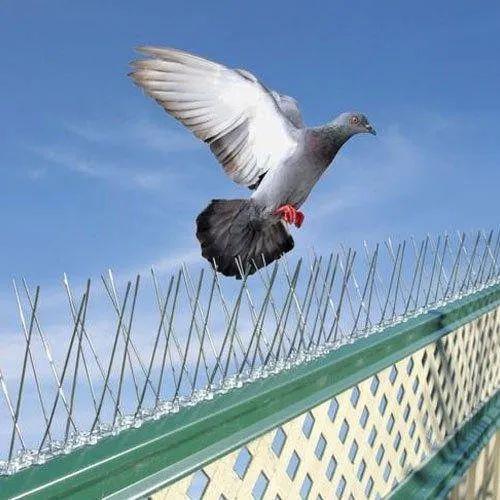 Anti Bird Spikes in Warangal