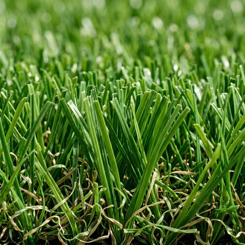 Premium Artificial Grass installation by Rio Safety Solutions
