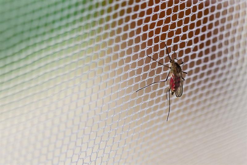 Mosquito Net for Balcony