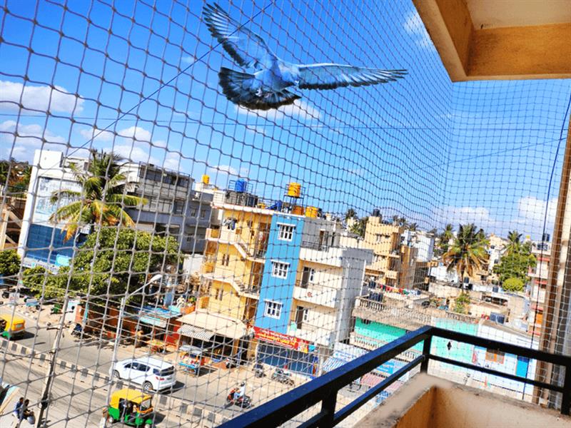 Pigeon Safety Nets installation services by Rio Safety Solutions